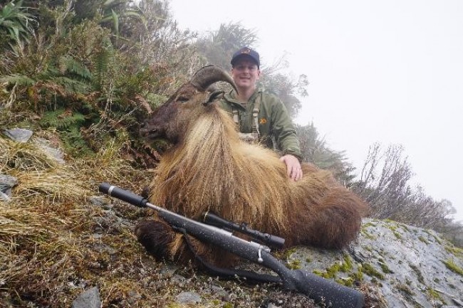 GT with tahr
