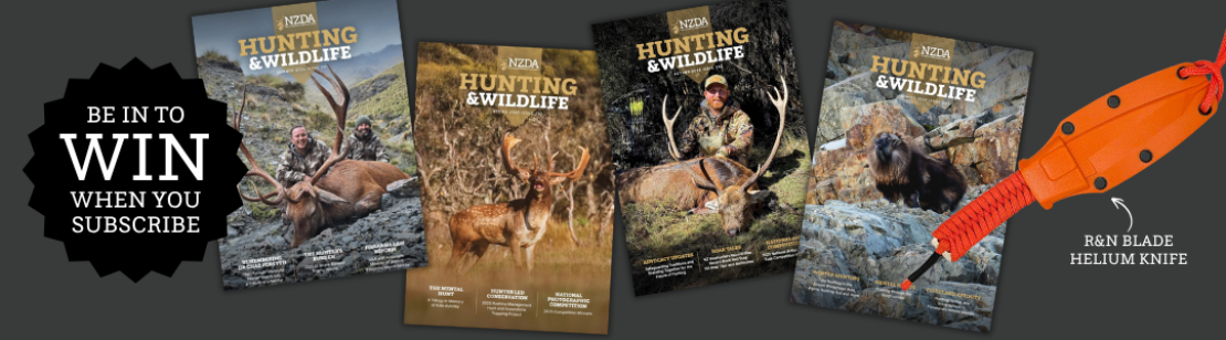 H&W Subscription Promo(2)