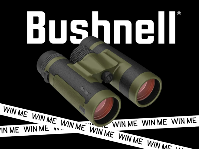 Join NZDA this April and save 8% on your membership