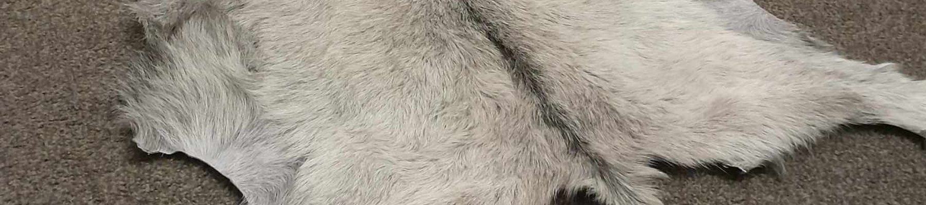 A Guide To Tanning Skins At Home