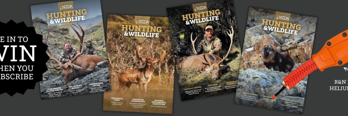H&W Subscription Promo