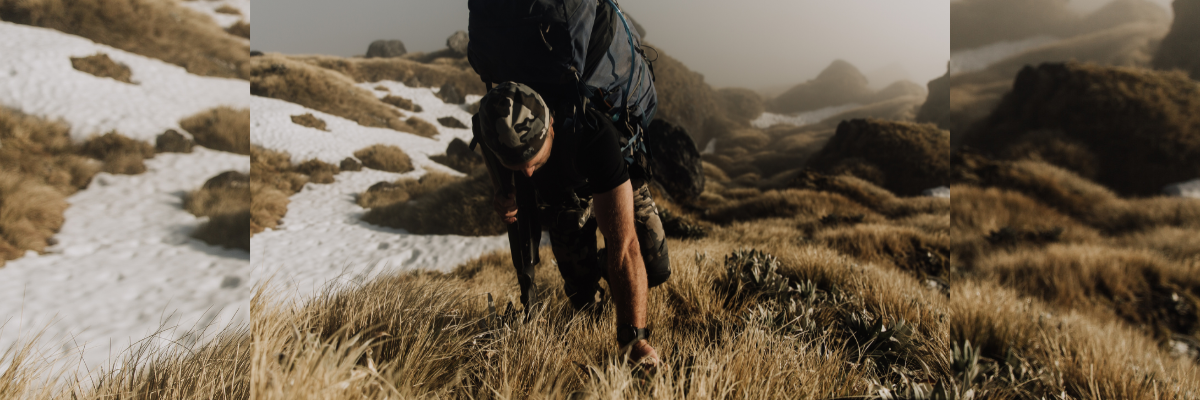 Hunting and Wildlife
