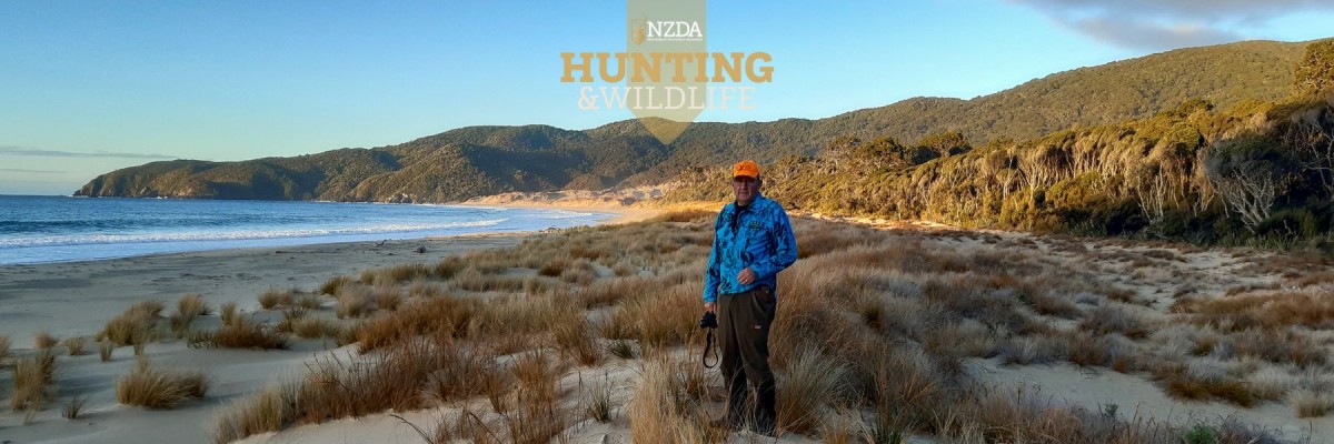 Rakiura Stewart Island Smoky Beach